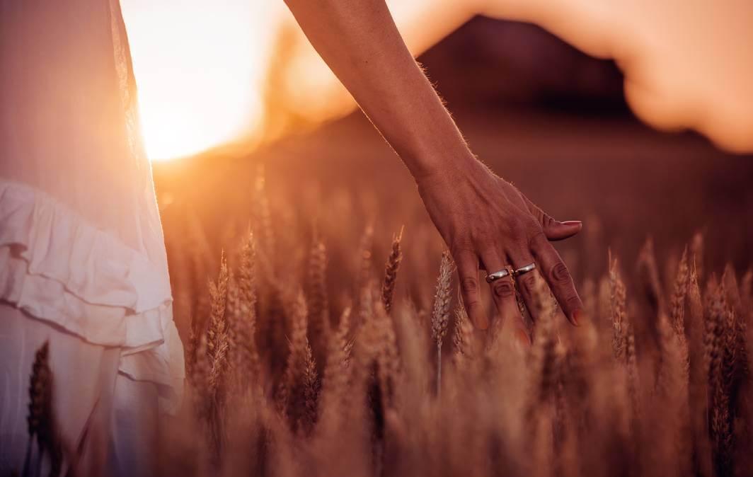 Ritual de Lammas: momento de celebrar a prosperidade