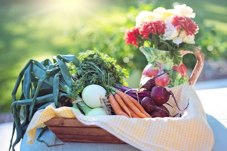 3 motivos para consumir produtos orgânicos