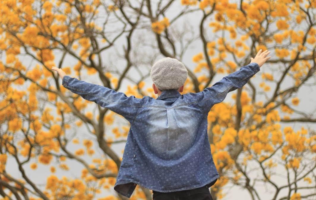 Sol em Câncer: Solstício de Inverno começa em 20 de junho no hemisfério sul