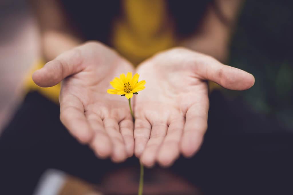 Conheça os benefícios de usar flores na meditação